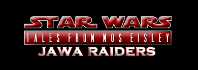 swraiders1logosm.png